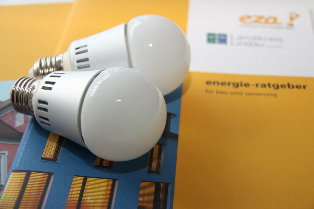 Stromsparen - Zwei Energiesparlampen liegen auf einem Energie-Ratgeber