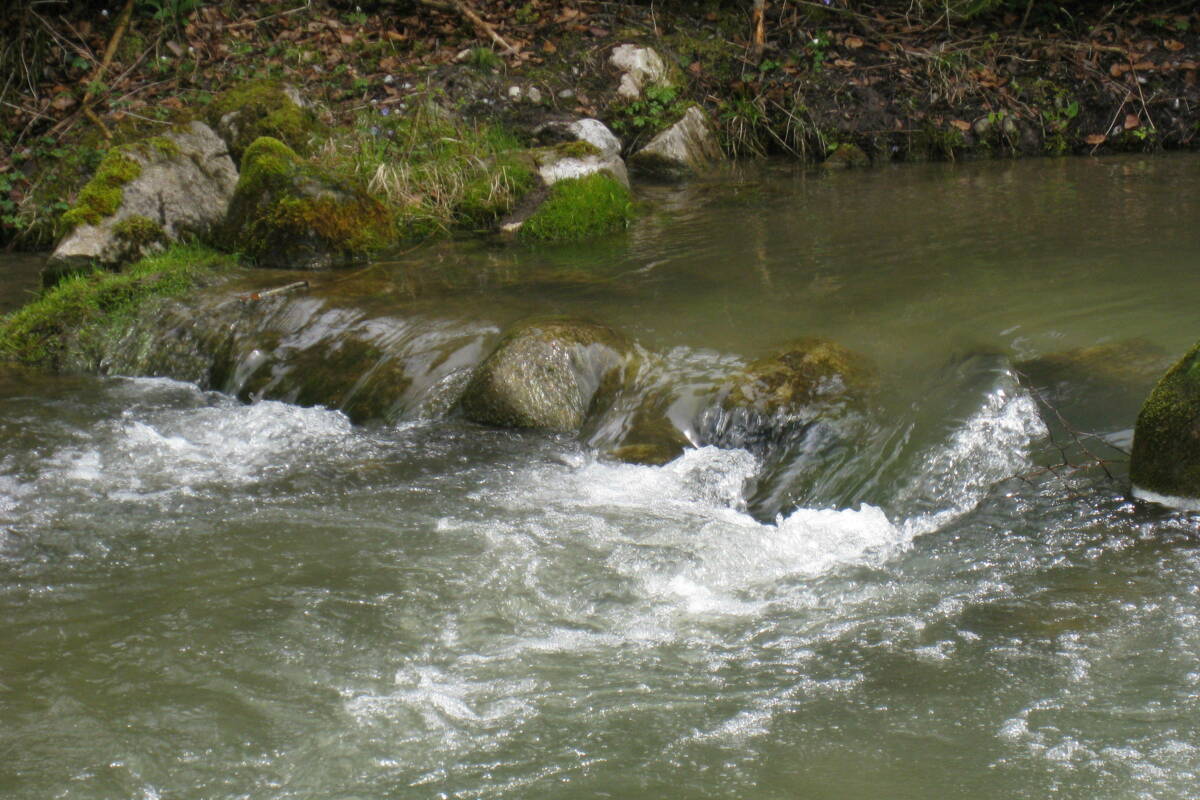 Wasser - ein fließendes Bächlein