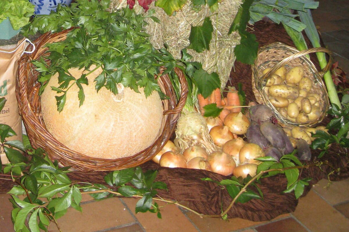 Ernährung - Nahaufnahme von Kartoffeln, Zwiebeln und Kürbissen frisch vom Feld in den Korb gelegt
