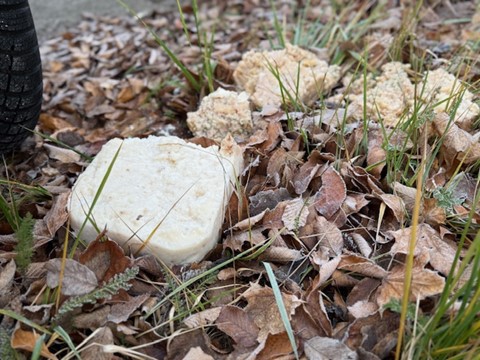 Essensreste auf öffentlichen Flächen